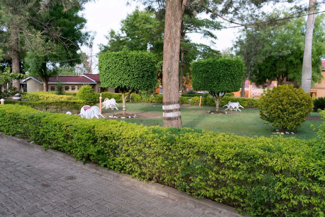 Rwenzori International Hotel קאססה מראה חיצוני תמונה